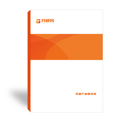 2024-2030年中国电极血糖仪市场深度调研与前景趋势报告